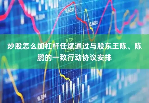 炒股怎么加杠杆任斌通过与股东王陈、陈鹏的一致行动协议安排