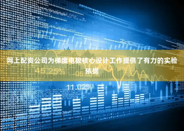 网上配资公司为梯度电极核心设计工作提供了有力的实验依据